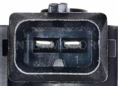 CVS75