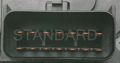 DS-1013