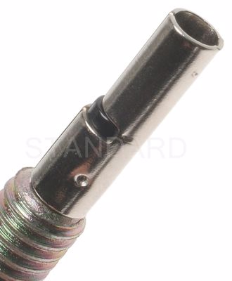 DS-894