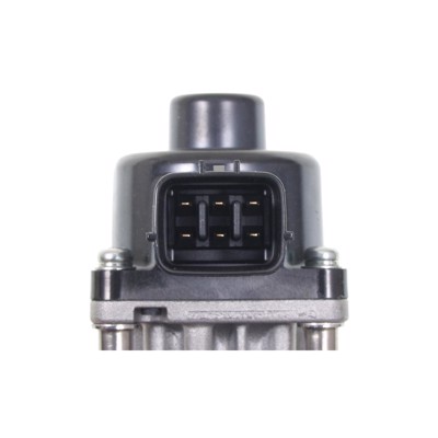 EGV1061