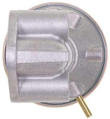 EGV1065