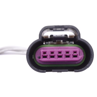 EGV1116