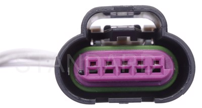 EGV1116
