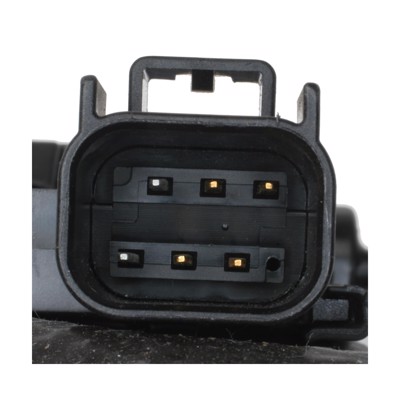 EGV1136