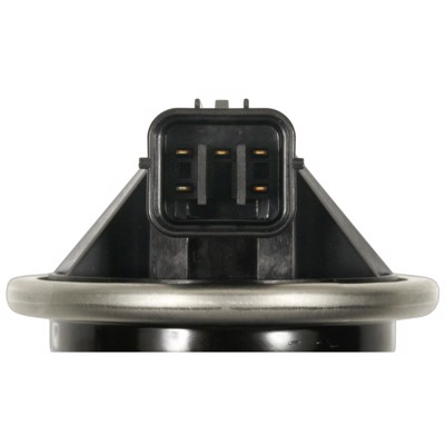 EGV1146