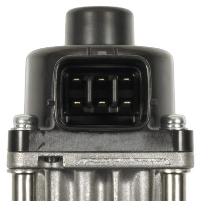EGV1193