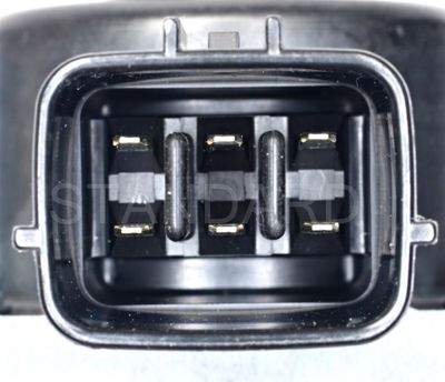 EGV1217