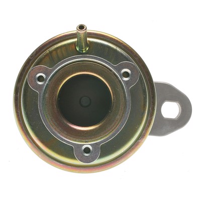 EGV266