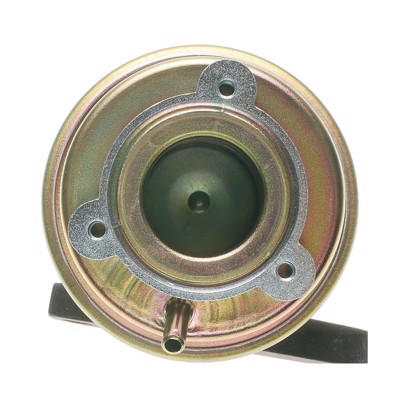 EGV274