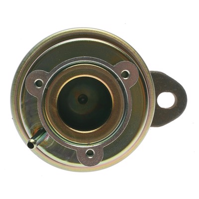 EGV295