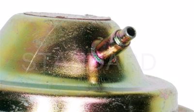 EGV346