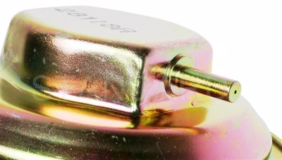 EGV386