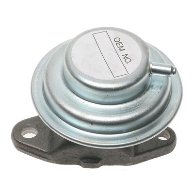 EGV398