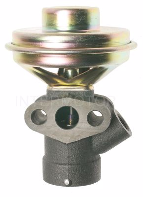 EGV484