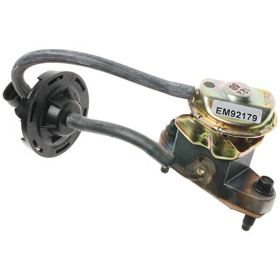 EGV494