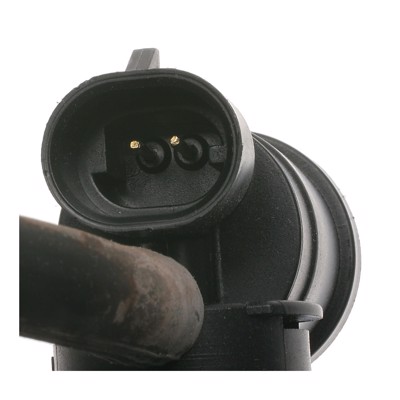 EGV498