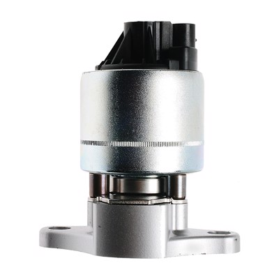 EGV515
