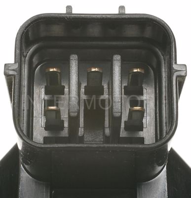 EGV576