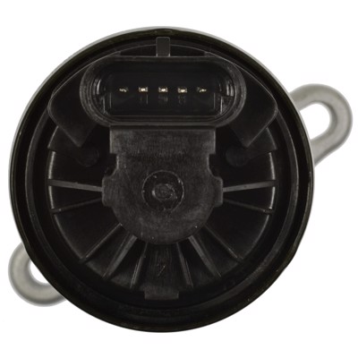 EGV618