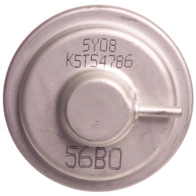 EGV924