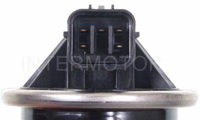 EGV981