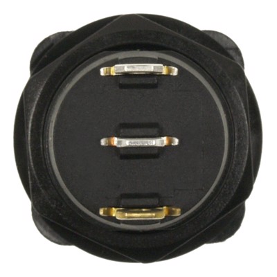 FLA1010