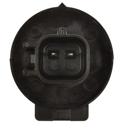 FLS241