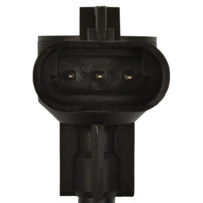 FLS309