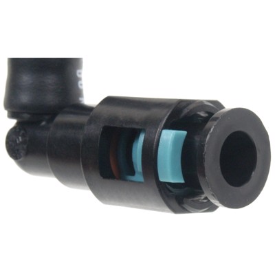 FPD53