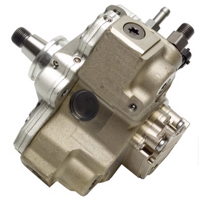 IP24
