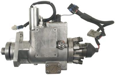 IP25