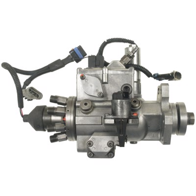 IP25