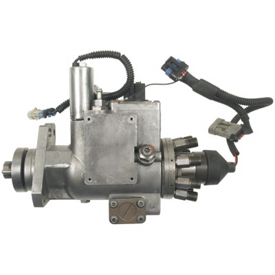 IP25