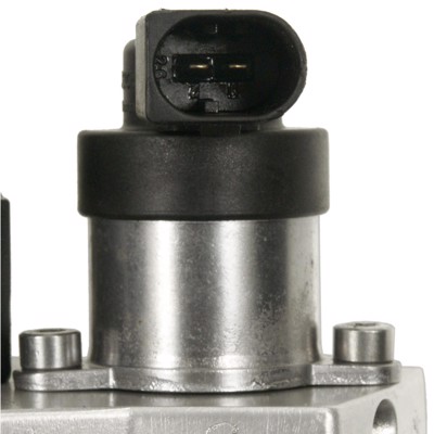 IP31