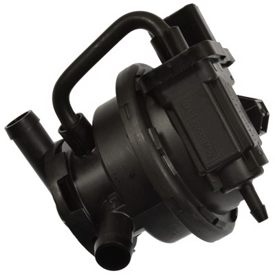 LDP31