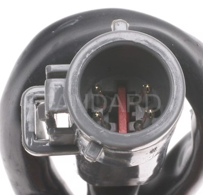 NS-29