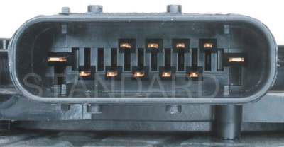 NS-319