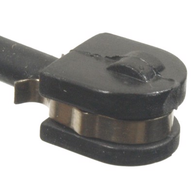 PWS117