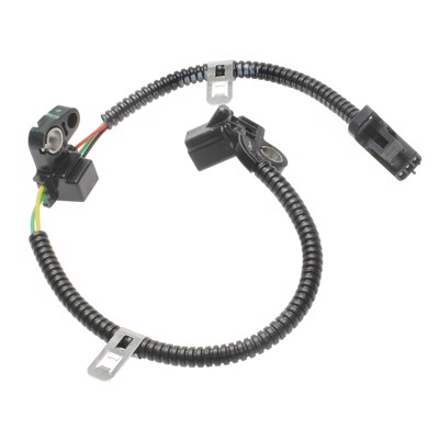 SC317