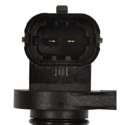 SC538