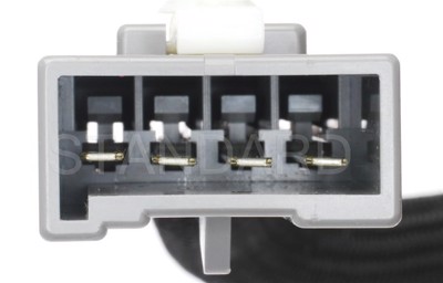 SWS15
