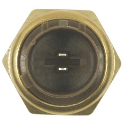 TS-295