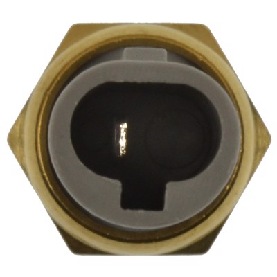 TS-319