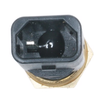 TS-336
