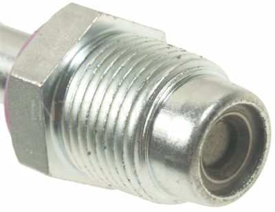 V454