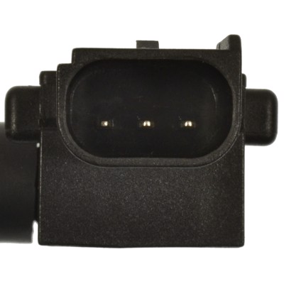 VP24