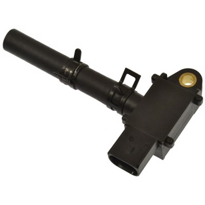 VP31