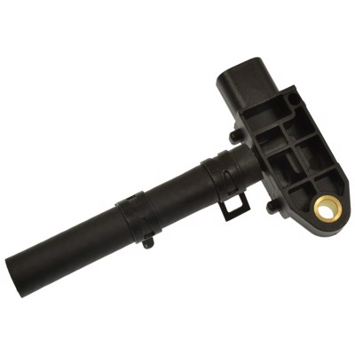 VP31