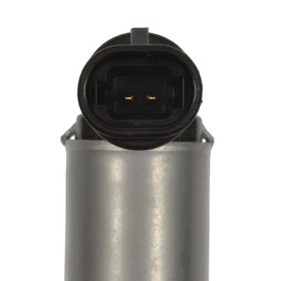 VVT116