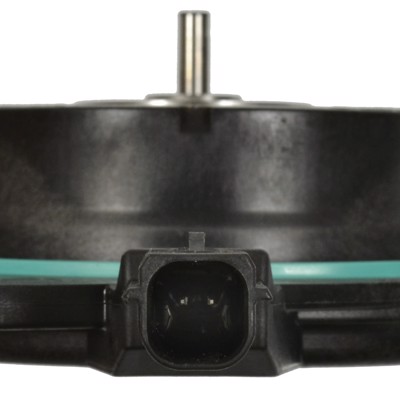VVT184